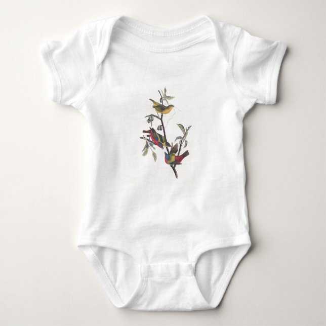 Audubon Pavisserligen Bunting Bird Wildlife Tee Shirt (Framsida)