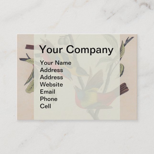 Audubon Pavisserligen Bunting Bird Wildlife Visitkort (Framsida)