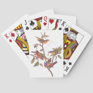 Audubon Pavisserligen Bunting Birds in a Cherokee Casinokort