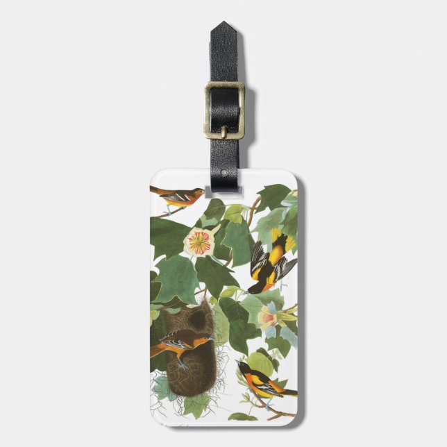 Audubon pläterar 12 Baltimore Oriole Bagagebricka (Vertikal Framsida)