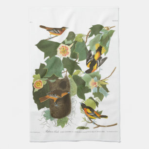 Audubon pläterar 12 Baltimore Oriole Kökshandduk
