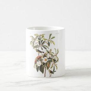 Audubon pläterar 185 Bachmans sångare Kaffemugg