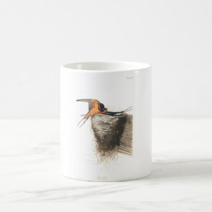 Audubon pläterar svalan för 173 ladugård kaffemugg