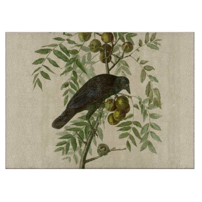 Audubon Purple Grackle Fågeltryck Vintage Botanisk (Framsidan)