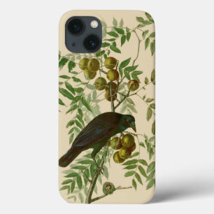 Audubon Purple Grackle Fågeltryck Vintage Botanisk