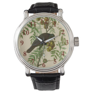 Audubon Purple Grackle Fågeltryck Vintage Botanisk Armbandsur