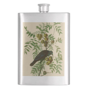Audubon Purple Grackle Fågeltryck Vintage Botanisk Fickplunta