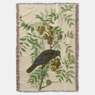 Audubon Purple Grackle Fågeltryck Vintage Botanisk Filt