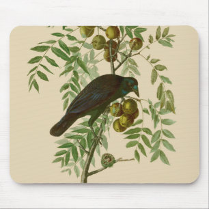 Audubon Purple Grackle Fågeltryck Vintage Botanisk Musmatta