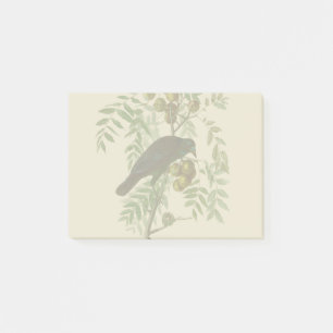 Audubon Purple Grackle Fågeltryck Vintage Botanisk Post-it Block