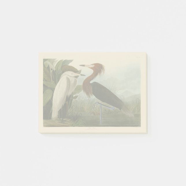 Audubon Purple Heron Reddish Egret Print: Fågelkon Post-it Block (Framsida)