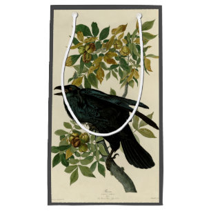Audubon Raven Bird Classic Artwork