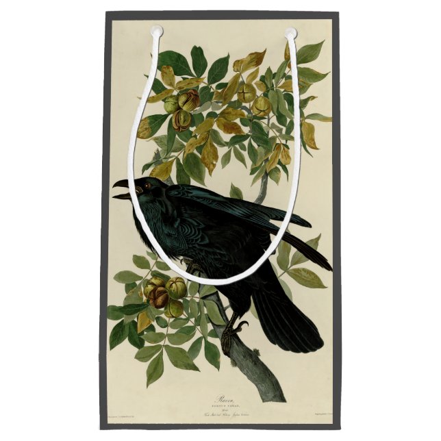 Audubon Raven Bird Classic Artwork (Framsidan)