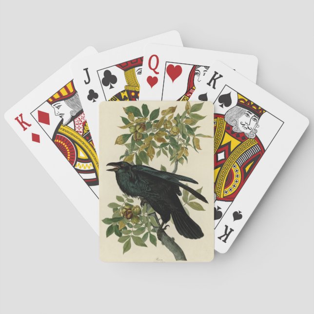Audubon Raven Bird Classic Artwork Casinokort (Baksidan)