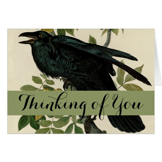 Audubon Raven Bird Classic Artwork Hälsningskort (Framsidan Horizontal)