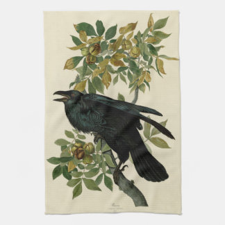 Audubon Raven Bird Classic Artwork Kökshandduk