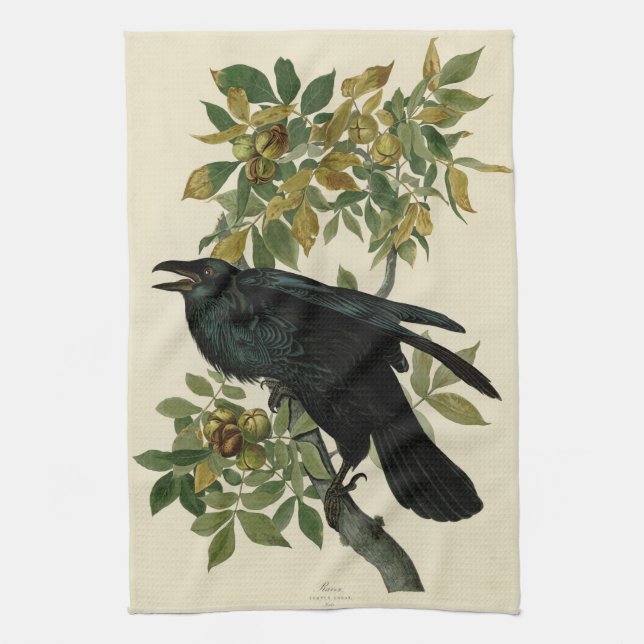 Audubon Raven Bird Classic Artwork Kökshandduk (Vertikal)