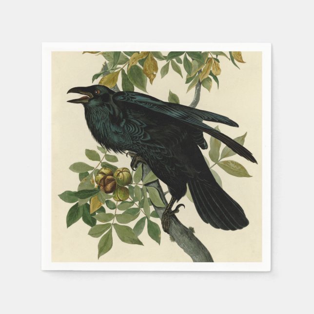 Audubon Raven Bird Classic Artwork Pappersservett (Framsidan)