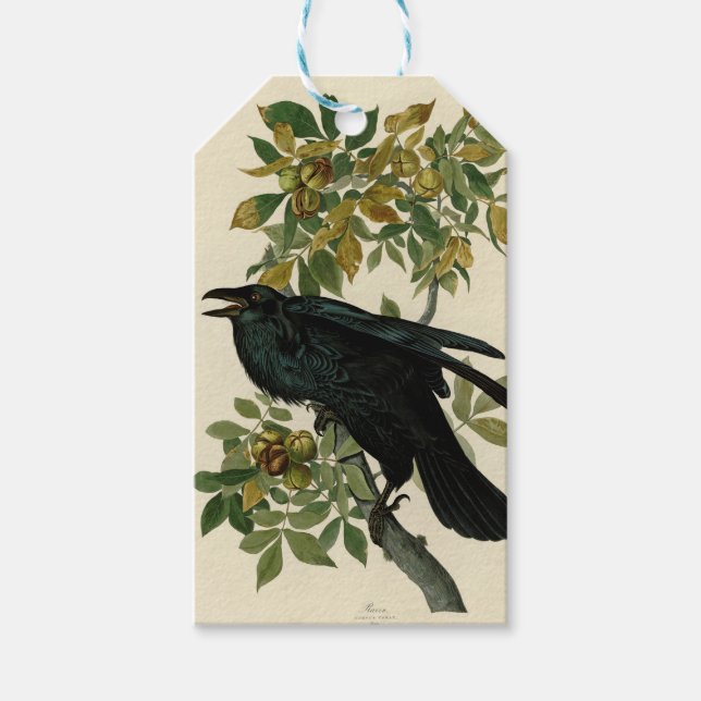 Audubon Raven Bird Classic Artwork Presentetikett (Framsidan)