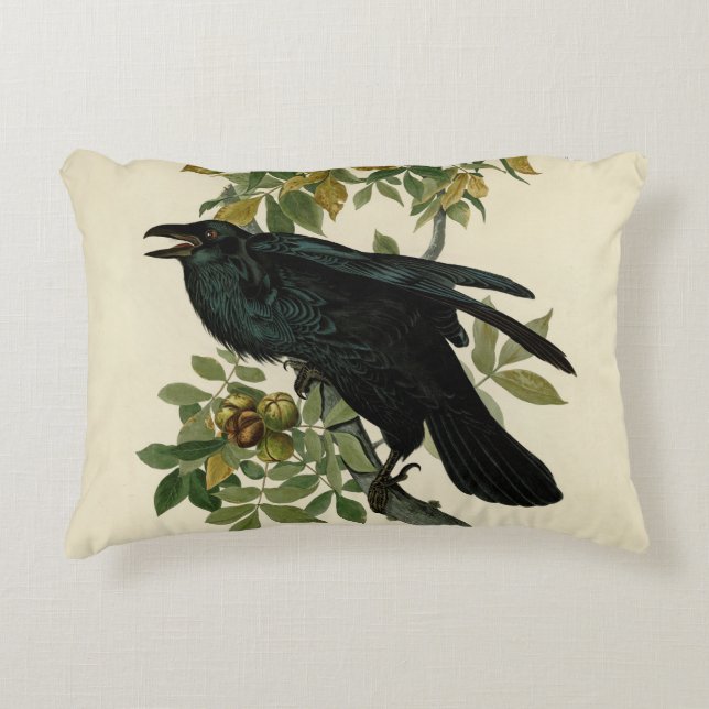 Audubon Raven Bird Classic Artwork Prydnadskudde (Framsidan)