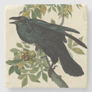 Audubon Raven Bird Classic Artwork Stenunderlägg