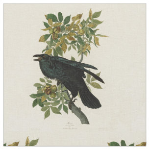 Audubon Raven Bird Classic Artwork Tyg