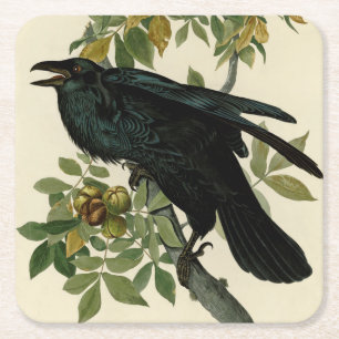 Audubon Raven Bird Classic Artwork Underlägg Papper Kvadrat