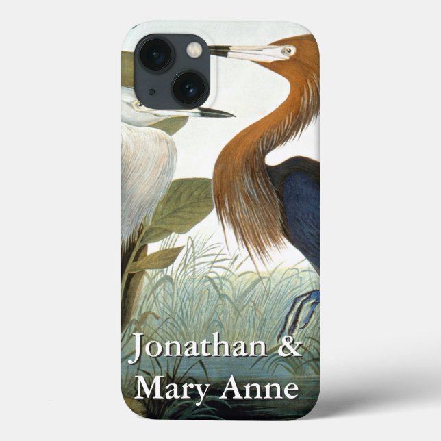 Audubon: Reddist eller Lila Heron (Baksida)