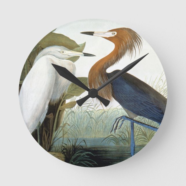 Audubon: Reddist eller Lila Heron Rund Klocka (Framsida)