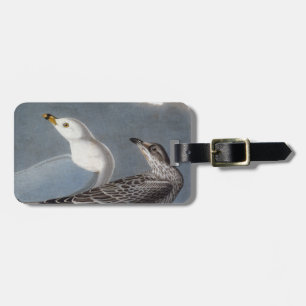 Audubon: Ring-Fakturerad fiskmås Bagagebricka