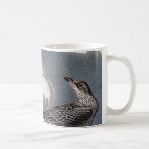 Audubon: Ring-Fakturerad fiskmås Kaffemugg