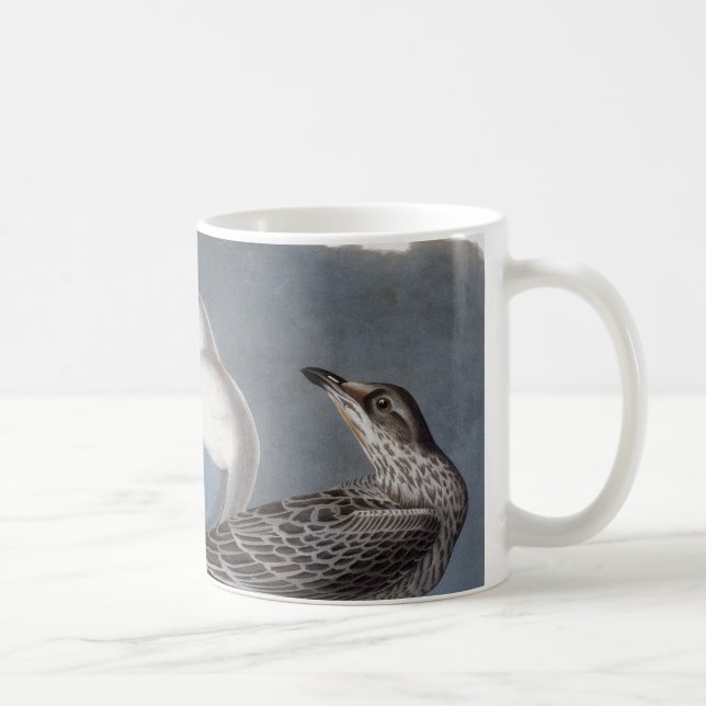 Audubon: Ring-Fakturerad fiskmås Kaffemugg (Höger)