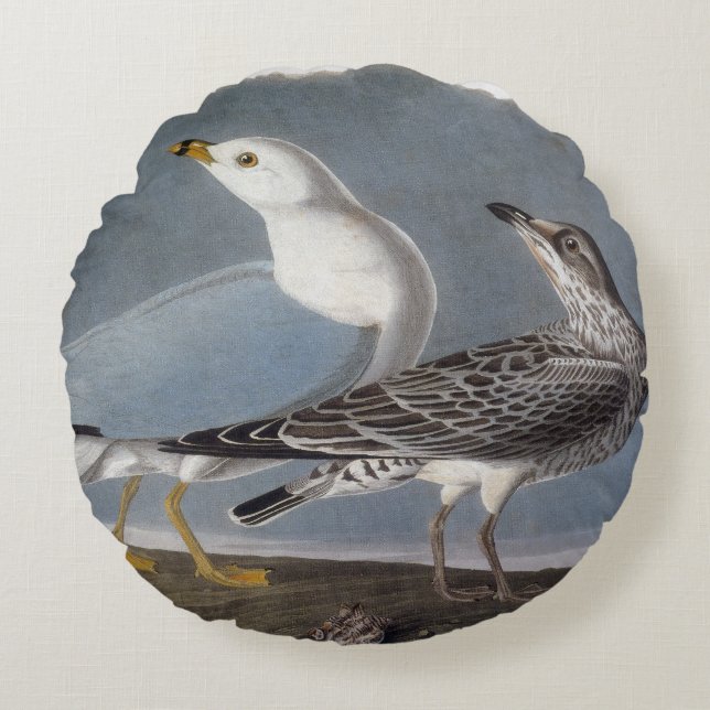 Audubon: Ring-Fakturerad fiskmås Rund Kudde (Framsidan)