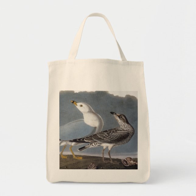 Audubon: Ring-Fakturerad fiskmås Tygkasse (Framsidan)