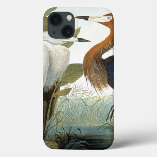 Audubon: Rödaktig Egret eller lilaHeron