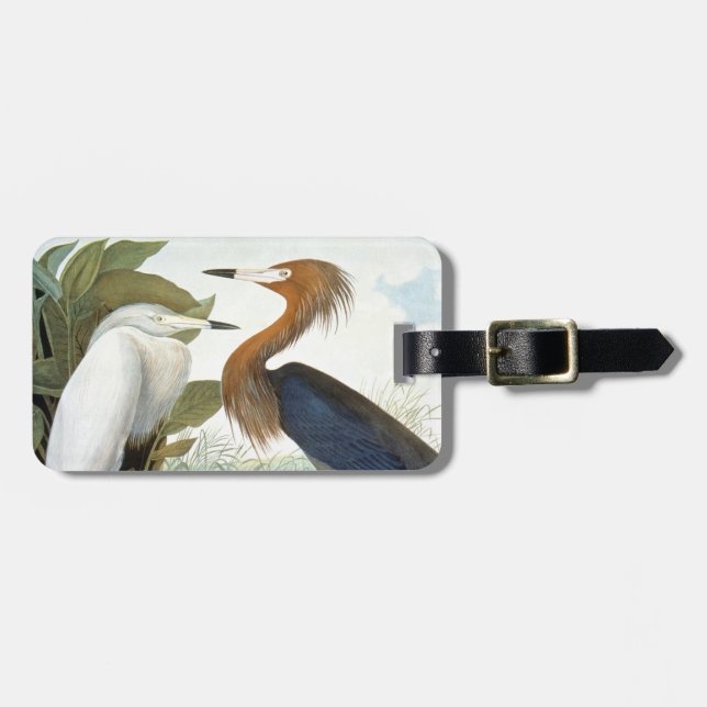 Audubon: Rödaktig Egret eller lilaHeron Bagagebricka (Horisontell Framsida)
