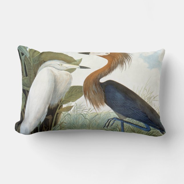 Audubon: Rödaktig Egret eller lilaHeron Lumbarkudde (Framsida)