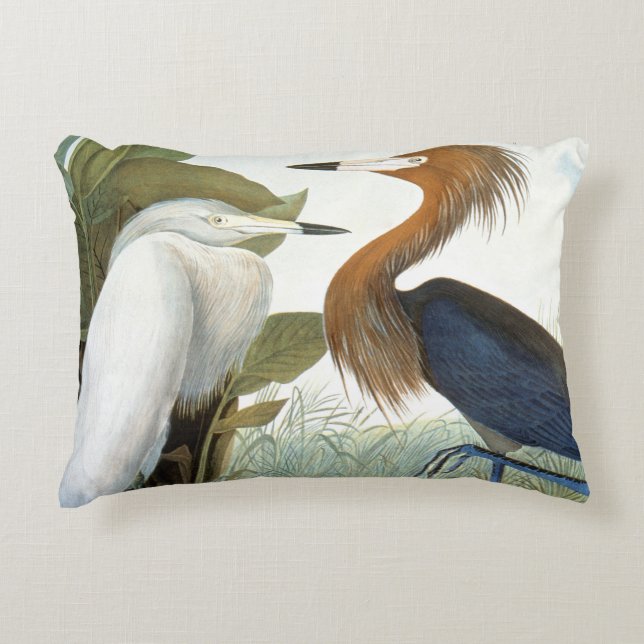 Audubon: Rödaktig Egret eller lilaHeron Prydnadskudde (Framsidan)