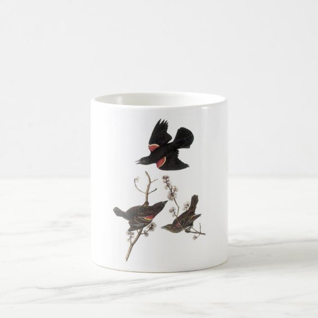 Audubon, rödvingad Blackbird Kaffemugg (Center)