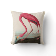 Audubon Rosa American Flamingo, Plate CCXXXI