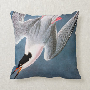 Audubon: Roseate tärna Kudde