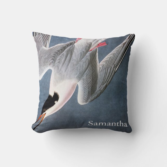 Audubon: Roseate tärna Kudde (Framsida)