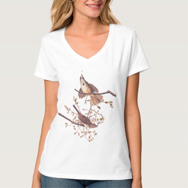 Audubon Sång Sparrow med regnig spider T Shirt (Framsida)