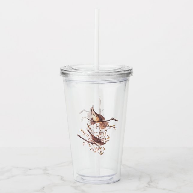 Audubon Sång Sparrow med regnig spider Take Away Mugg (Framsida)