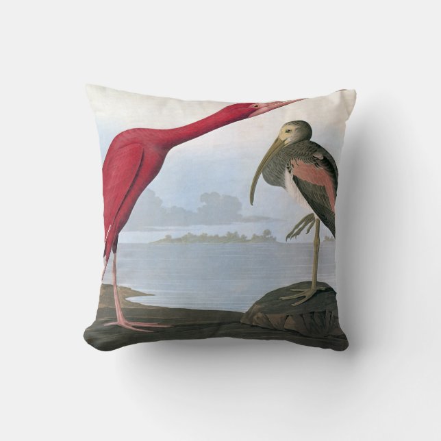 Audubon: Scarlet Ibis Kudde (Framsida)