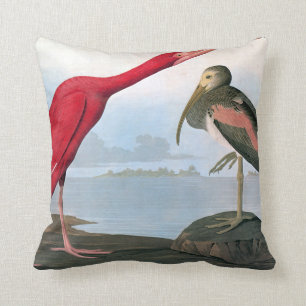 Audubon: Scarlet Ibis Kudde
