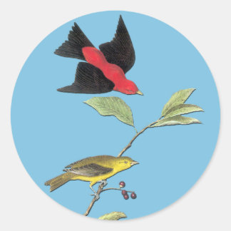 Audubon Scarlet Tanager Bird Art Stickers Runt Klistermärke