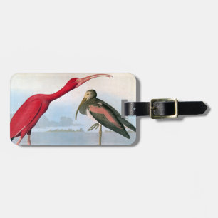Audubon: Scharlakansröda Ibis Bagagebricka