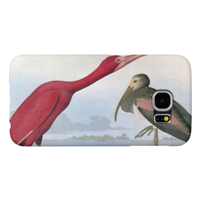 Audubon: Scharlakansröda Ibis Case-Mate Samsung Galaxy Skal (Baksidan Horisontell)