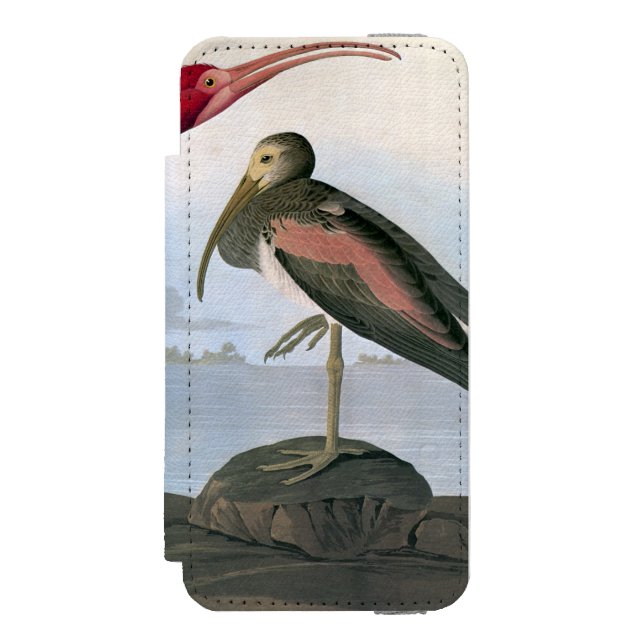 Audubon: Scharlakansröda Ibis Incipio iPhone Wallet Skal (Folio Framsidan)